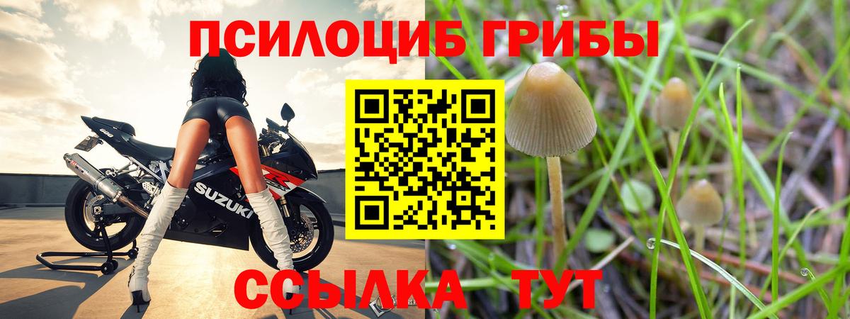 Галлюциногенные грибы GOLDEN TEACHER Нальчик