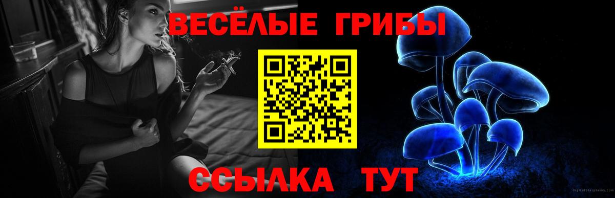 Псилоцибиновые грибы мухоморы  Галлюциногенные грибы Psilocybe  Нальчик  Вход с VPN 