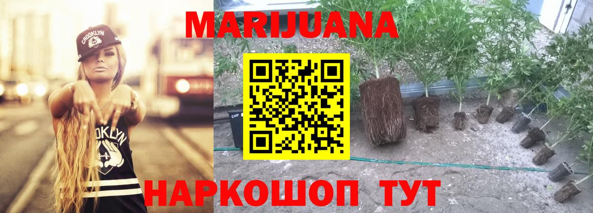 Бошки марихуана гибрид Нальчик
